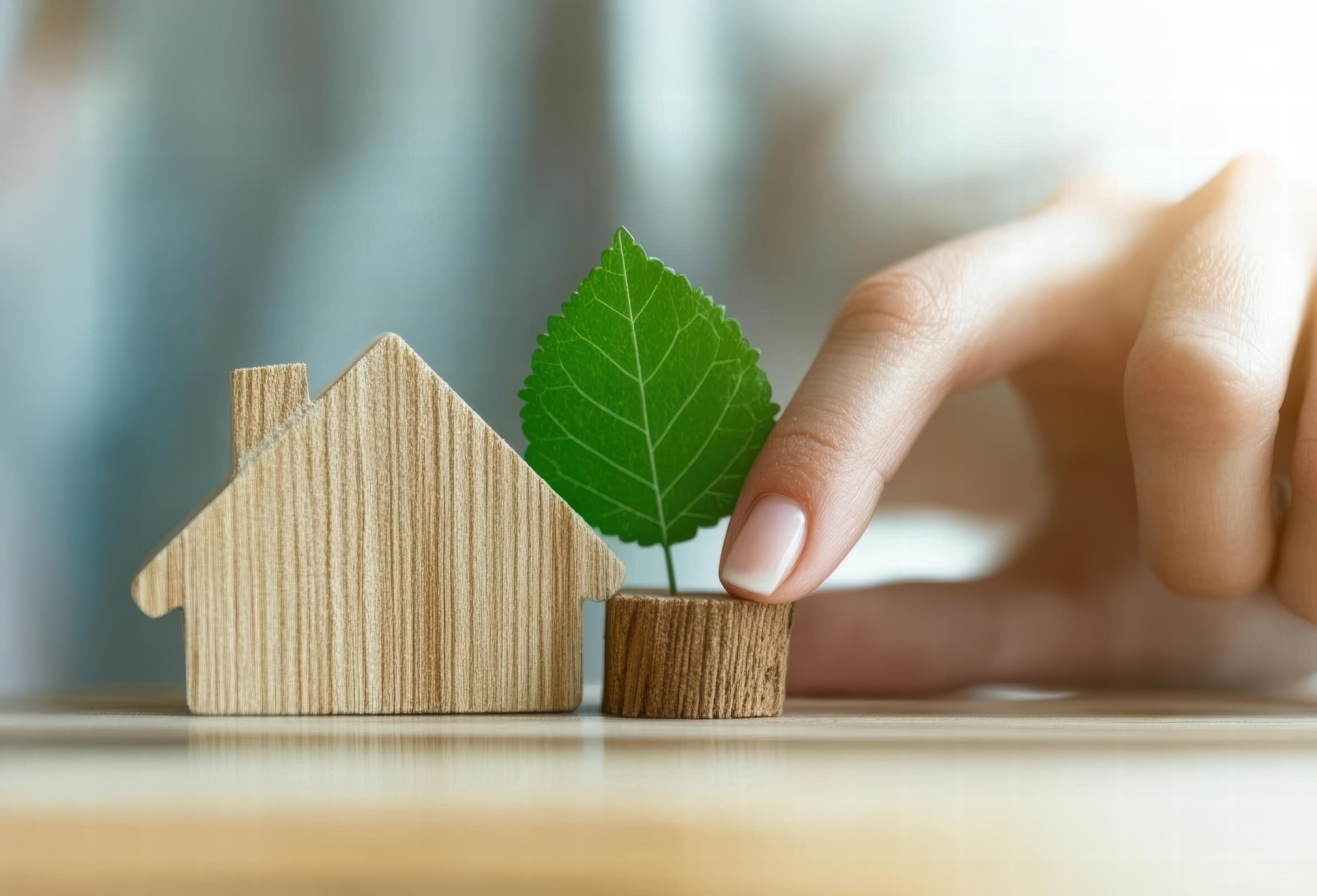 Growing sustainability with wooden house model and green leaf